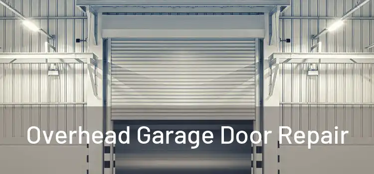  Overhead Garage Door Repair 